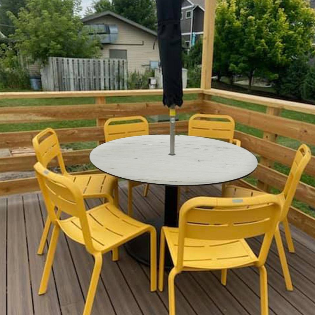 Jarama Elm - Image 4