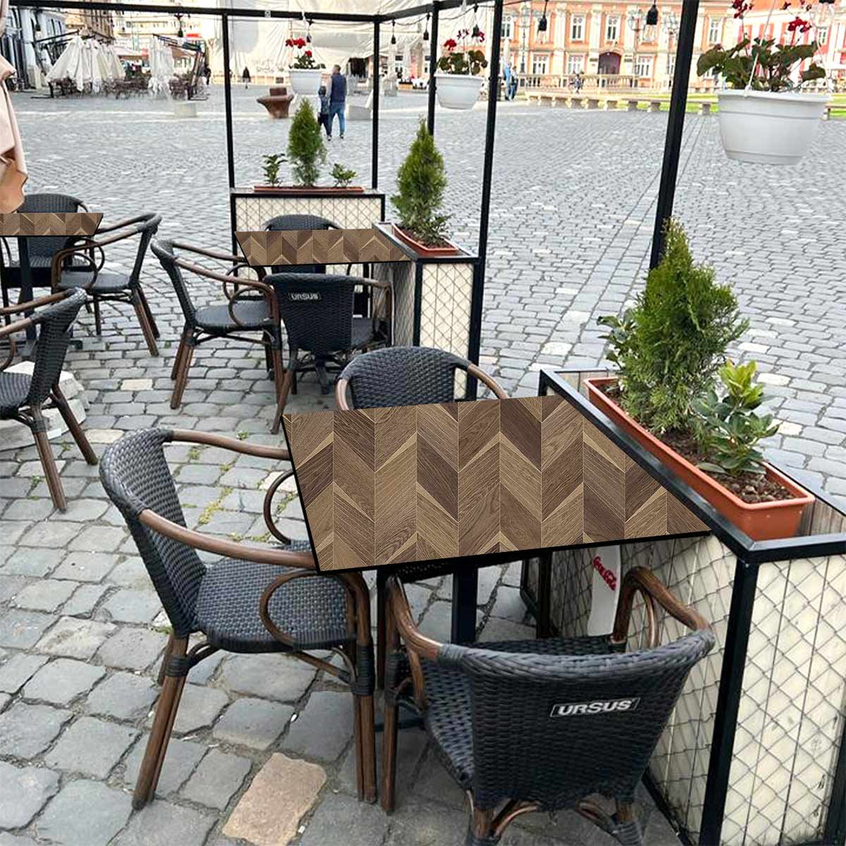 Aloe wood (New) - Image 4