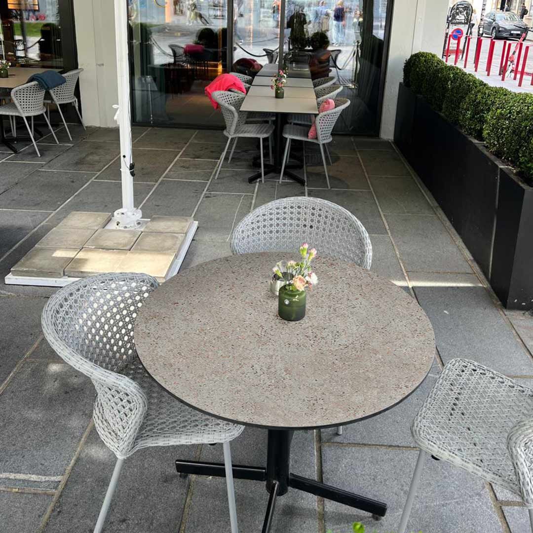 Spark Nexus - Image 4