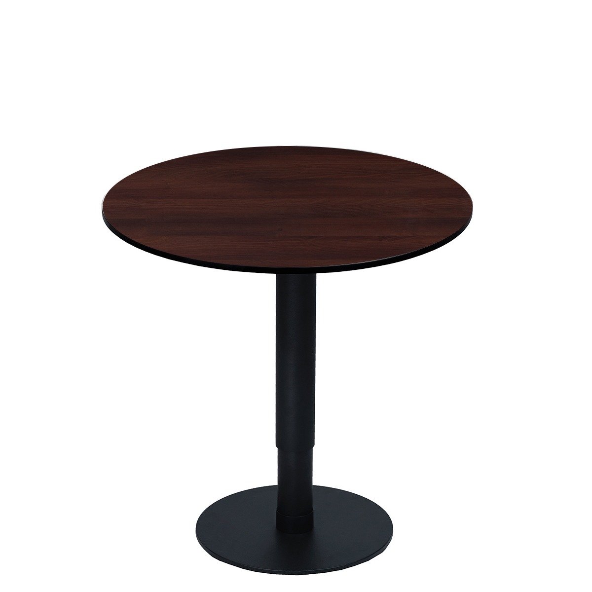 Moldau Acacia - Image 2