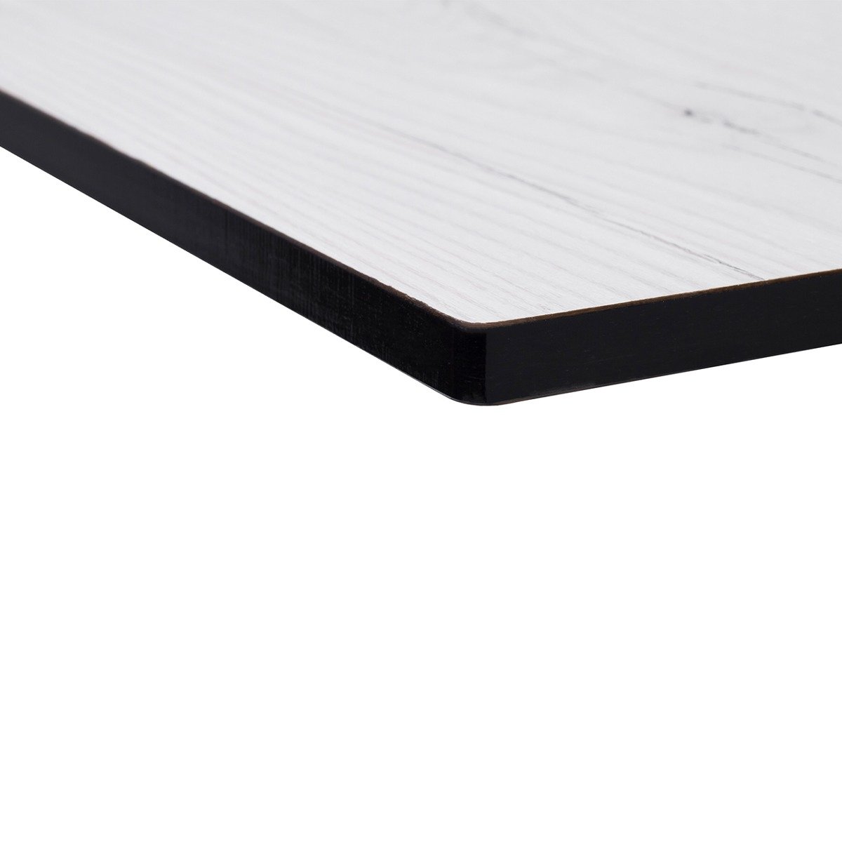 Jarama Elm - Image 3