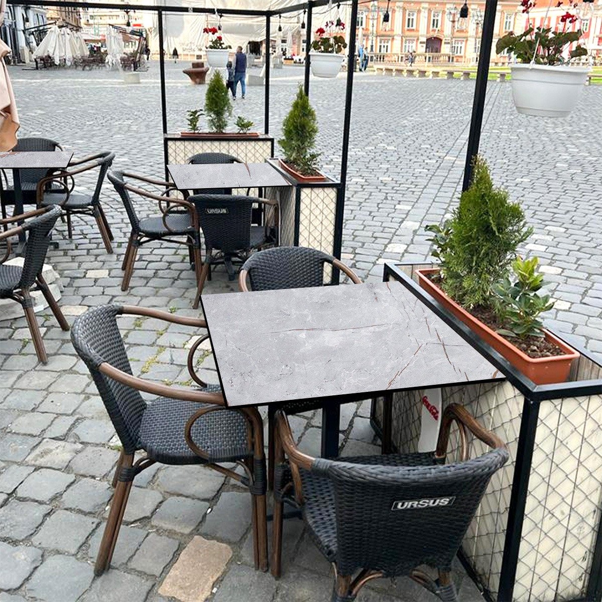 Grey Caspio - Image 4