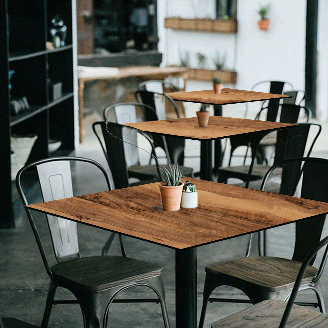 Indian Shesham - Image 4